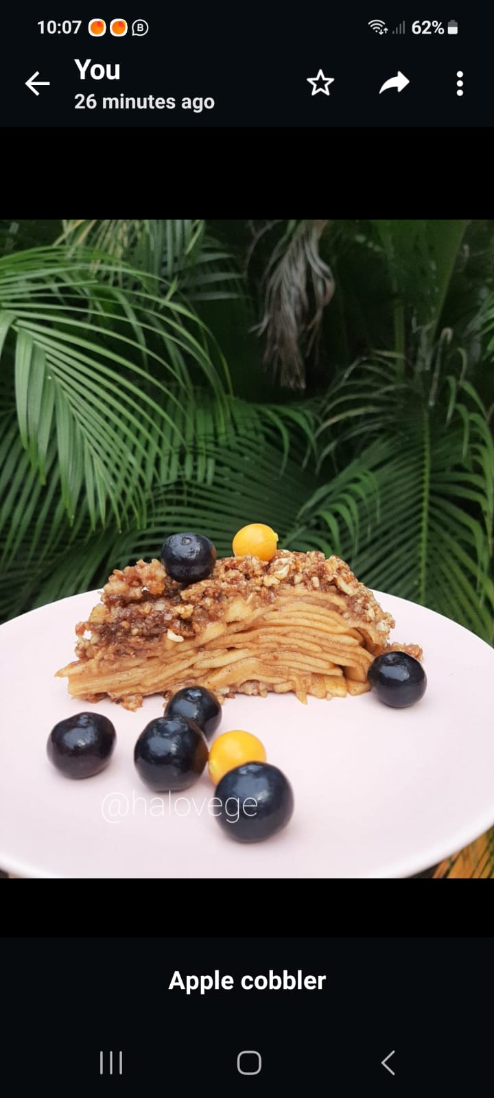 D18 Raw Vegan Apple cobbler D18cm