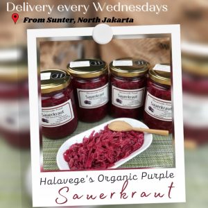 500ml Sauerkraut